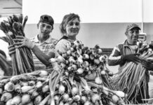 La Terra, la Luce e il Mare: Il Segreto della Bontà della Cipolla di Tropea