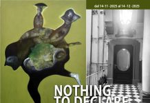 Enzo Palumbo – Niente da dichiarare